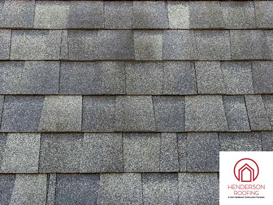 Blistering asphalt shingle on Rhode Island roof