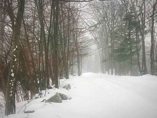 Bomb cyclone roof damage repairs in Rhode Island